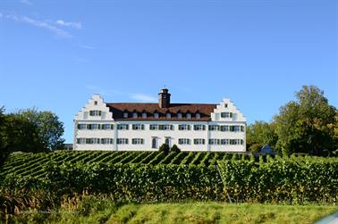2020 09 04 Meersburg,_DSD_7366_b_488px
